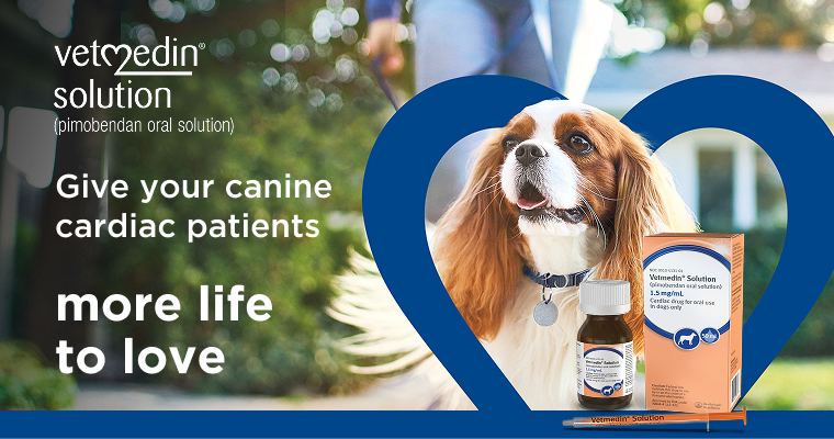 Give your canine cardiac patients more life to love