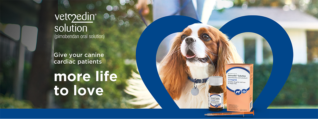 Give your canine cardiac patients more life to love